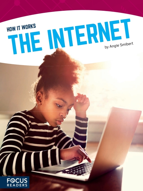Cover image for book The Internet