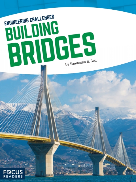 Cover image for book Building Bridges