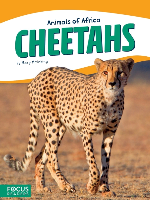 Cover image for book Cheetahs