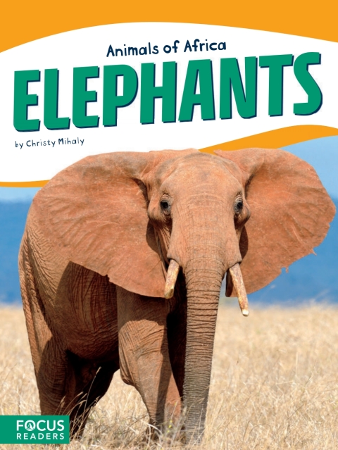 Cover image for book Elephants