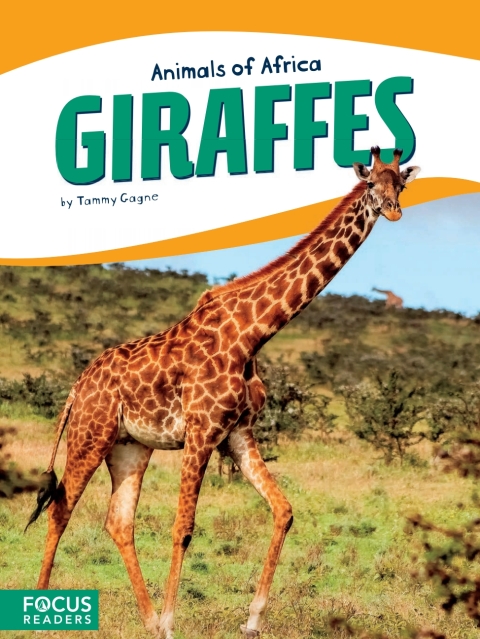 Cover image for book Giraffes