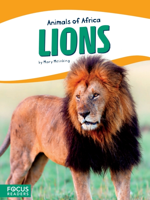 Cover image for book Lions
