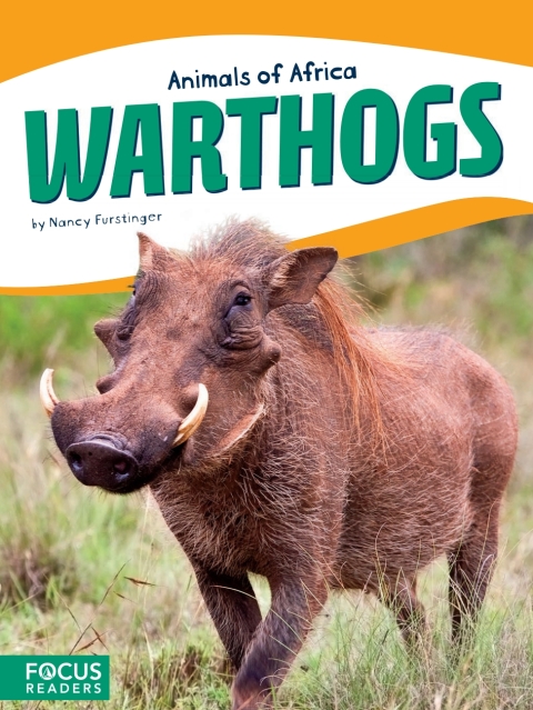 Cover image for book Warthogs