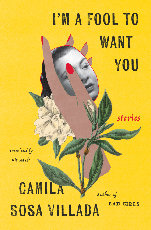 Cover image for book I'm a Fool to Want You