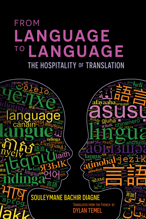 Cover image for book From Language to Language