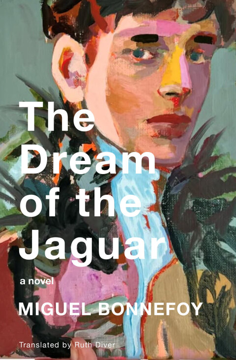 Cover image for book The Dream of the Jaguar