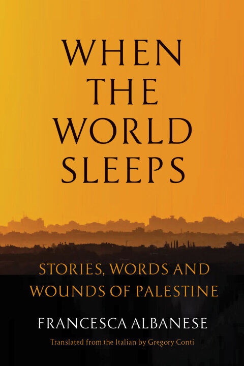 Cover image for book When the World Sleeps