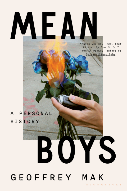 Cover image for book Mean Boys