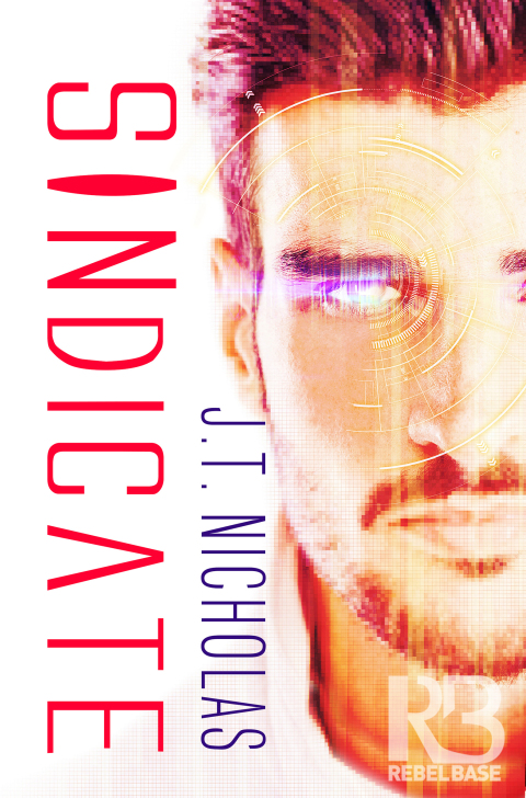 Cover image for book SINdicate