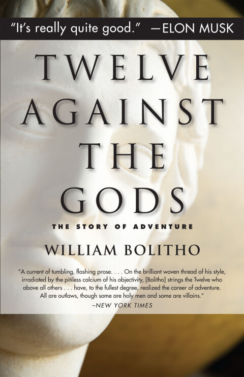 Cover image for book Twelve Against the Gods