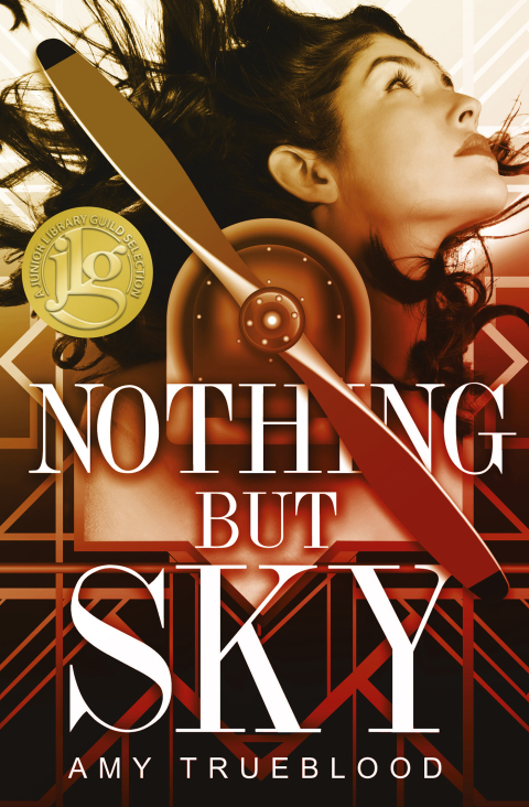 Cover image for book Nothing But Sky