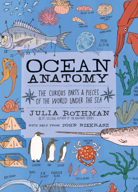 Cover image for book Ocean Anatomy