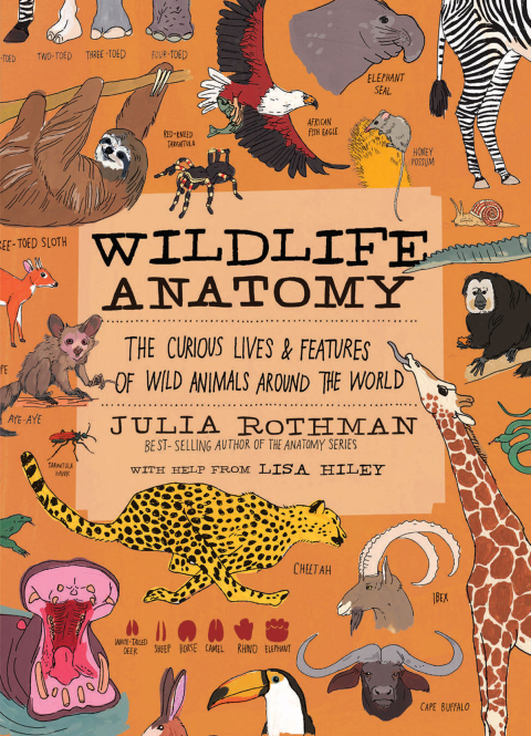 Cover image for book Wildlife Anatomy