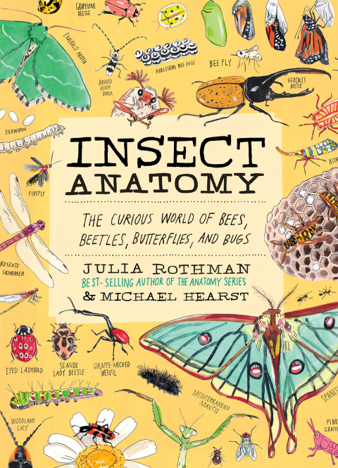 Cover image for book Insect Anatomy