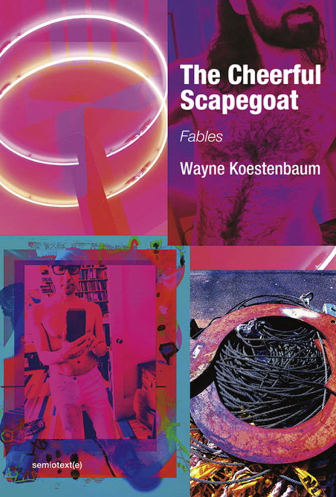 Cover image for book The Cheerful Scapegoat