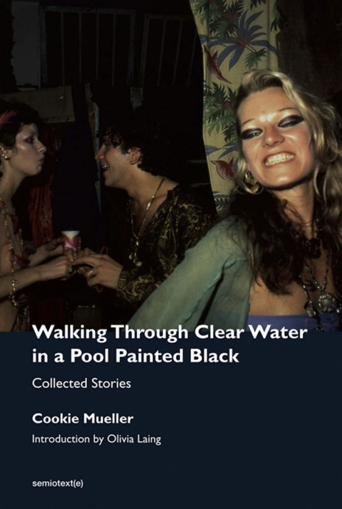 Cover image for book Walking Through Clear Water in a Pool Painted Black, new edition