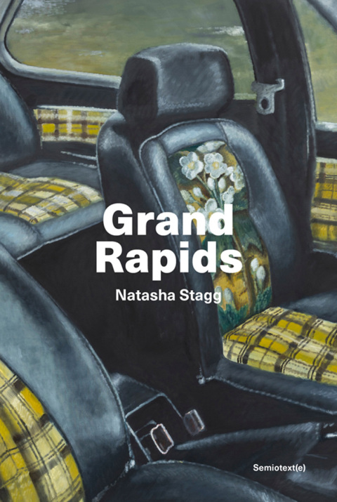 Cover image for book Grand Rapids