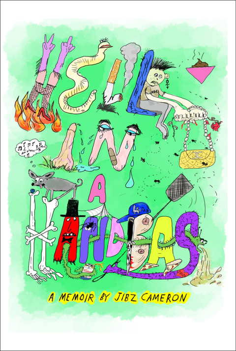 Cover image for book Hell in a Handbag