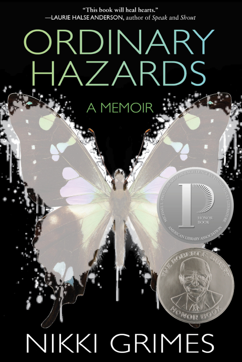 Cover image for book Ordinary Hazards
