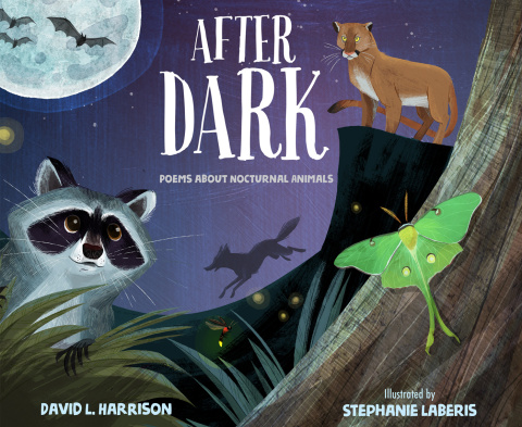 Cover image for book After Dark