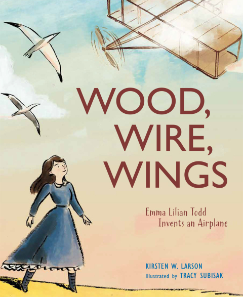 Cover image for book Wood, Wire, Wings