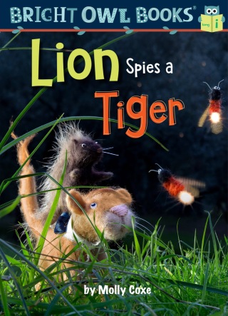 Lion Spies a Tiger