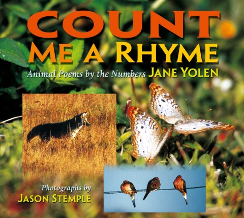 Cover image for book Count Me a Rhyme