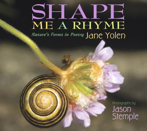 Cover image for book Shape Me a Rhyme