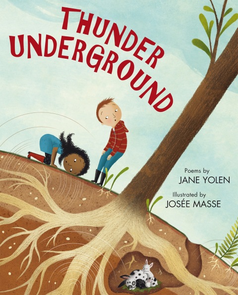 Cover image for book Thunder Underground