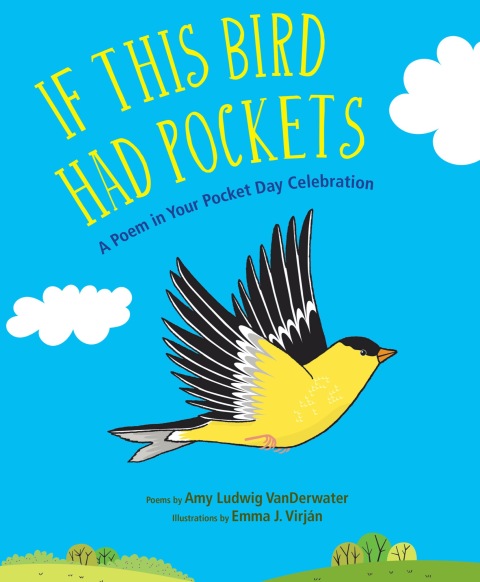 Cover image for book If This Bird Had Pockets