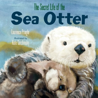 The Secret Life of the Sea Otter