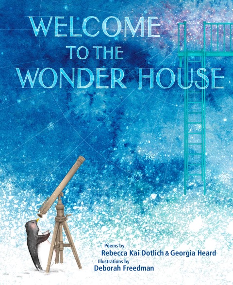 Cover image for book Welcome to the Wonder House