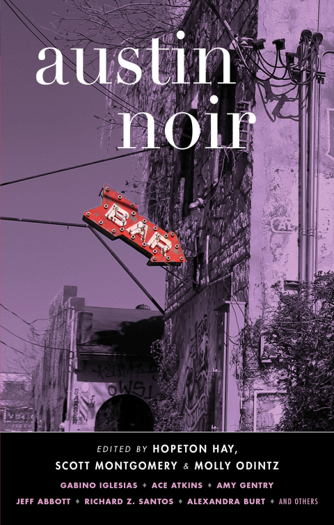 Cover image for book Austin Noir