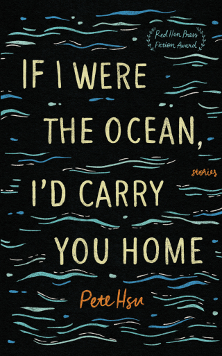 If I Were the Ocean, I'd Carry You Home