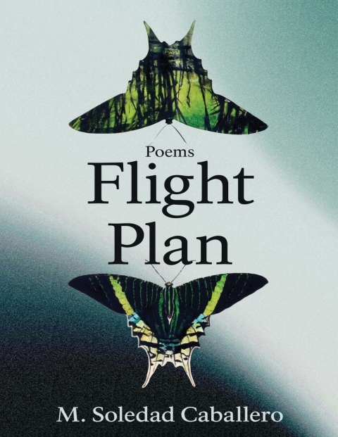 Cover image for book Flight Plan