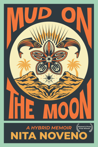 Mud on the Moon
