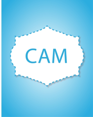 Cam