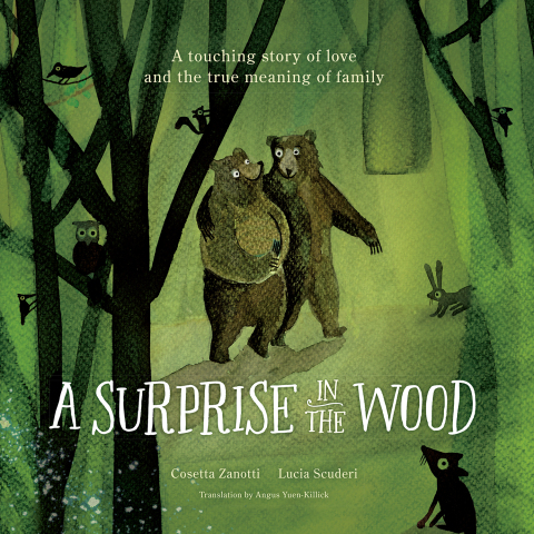 Cover image for book A Surprise in the Wood