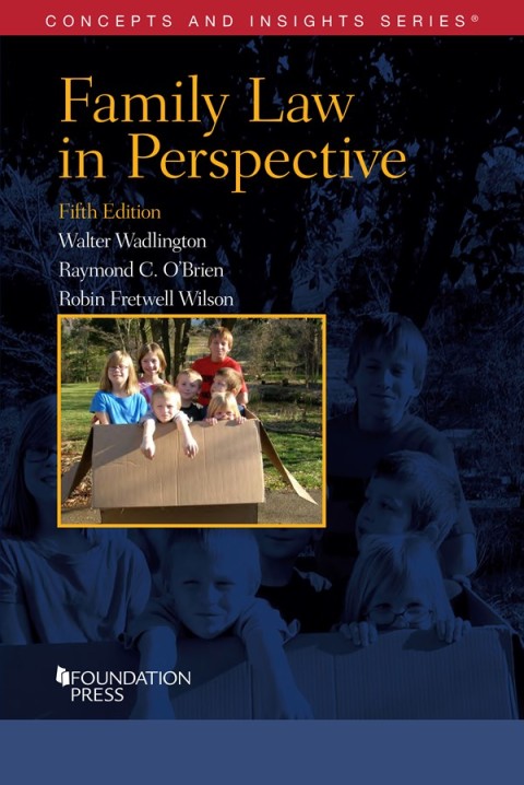 Cover image for book Wadlington, O'Brien, and Wilson's Family Law in Perspective