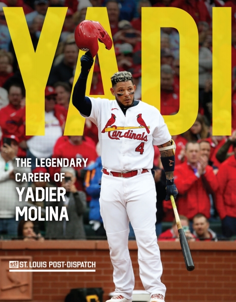Cover image for book Yadi