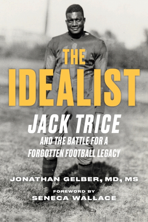 Cover image for book The Idealist