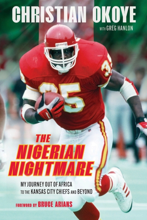 Cover image for book The Nigerian Nightmare