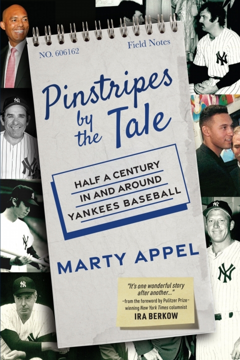 Cover image for book Pinstripes by the Tale