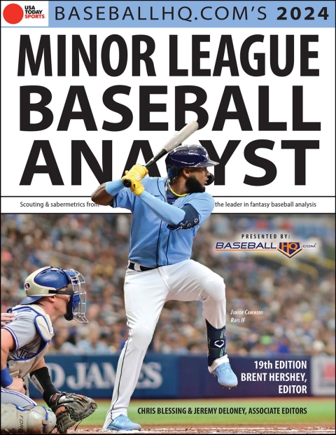 Cover image for book 2024 Minor League Analyst