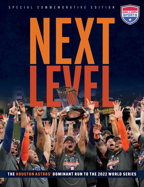 Cover image for book Next Level