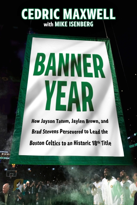 Cover image for book Banner Year