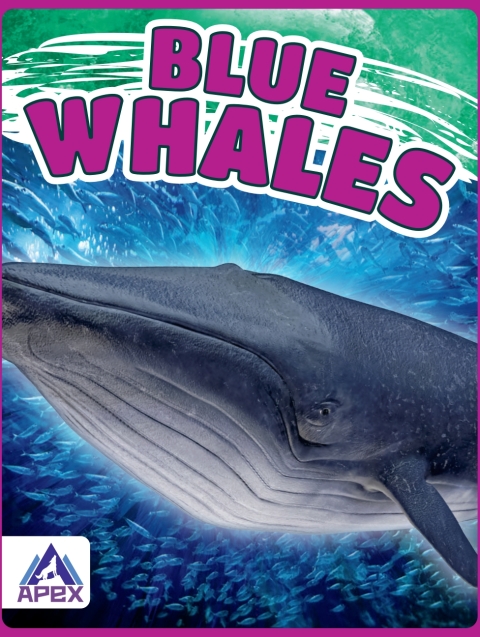Cover image for book Blue Whales
