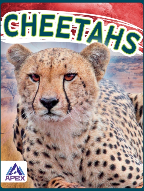 Cover image for book Cheetahs