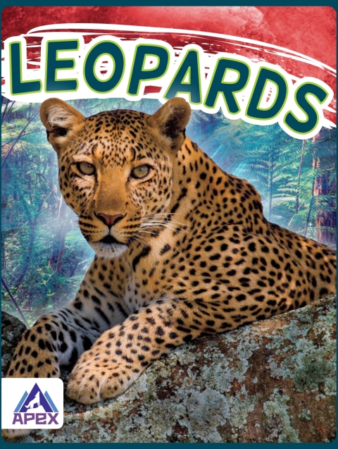 Cover image for book Leopards