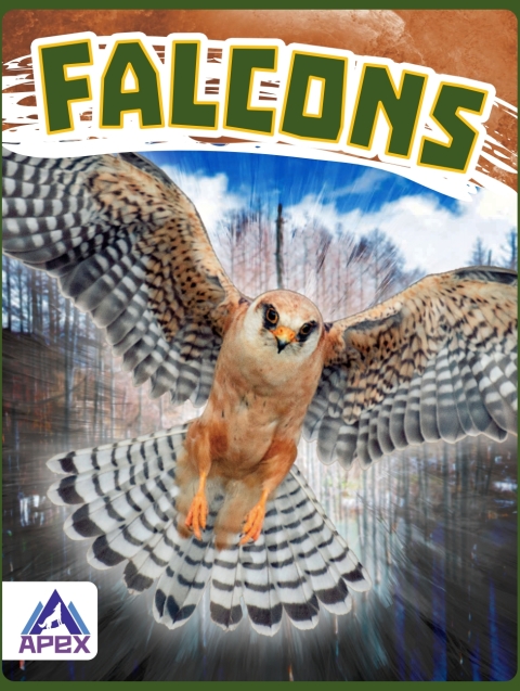 Cover image for book Falcons